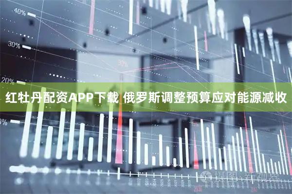 红牡丹配资APP下载 俄罗斯调整预算应对能源减收