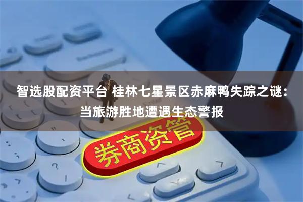 智选股配资平台 桂林七星景区赤麻鸭失踪之谜：当旅游胜地遭遇生态警报