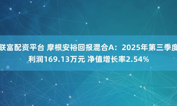 联富配资平台 摩根安裕回报混合A：2025年第三季度利润169.13万元 净值增长率2.54%